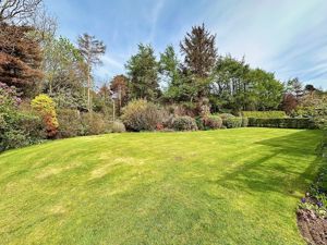 Photo 4- click for photo gallery